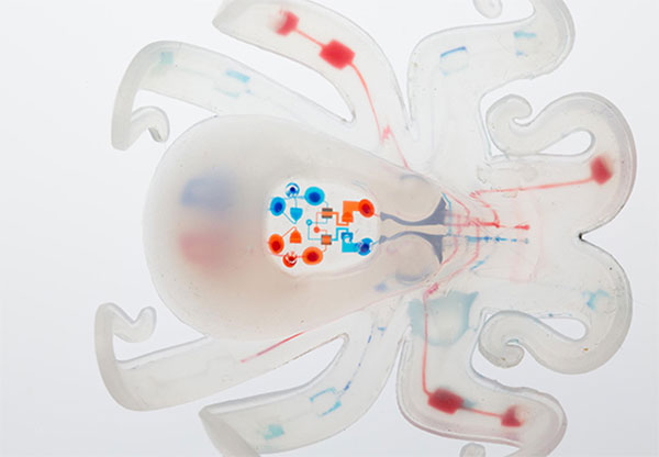 Мягкий робот-осьминог Octobot