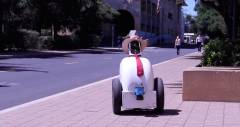 Робот Jackrabbot из Стэнфорда научится негласным пешеходным правилам